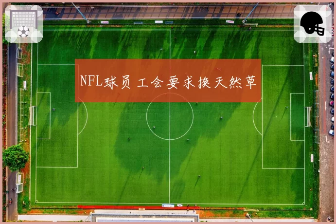 NFL球员工会要求换天然草