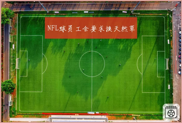 NFL球员工会要求换天然草